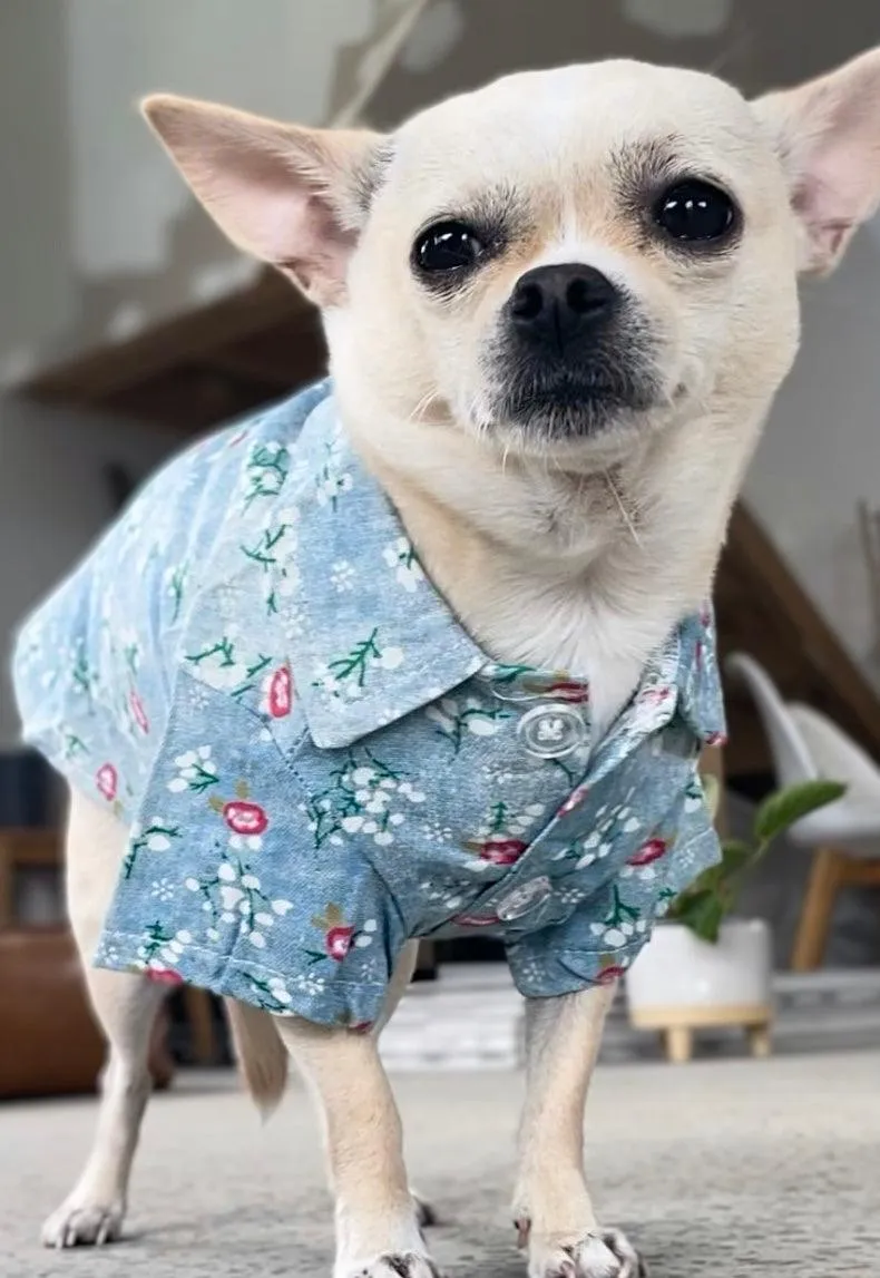 Dog Cotton Denim Shirt for Chihuahua and small breeds