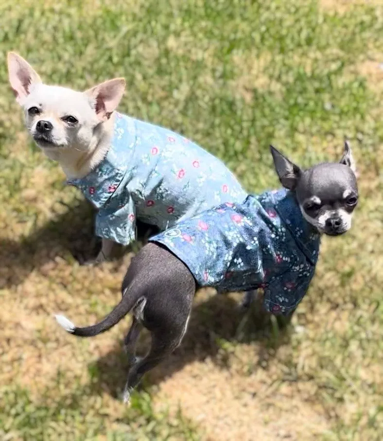 Dog Cotton Denim Shirt for Chihuahua and small breeds