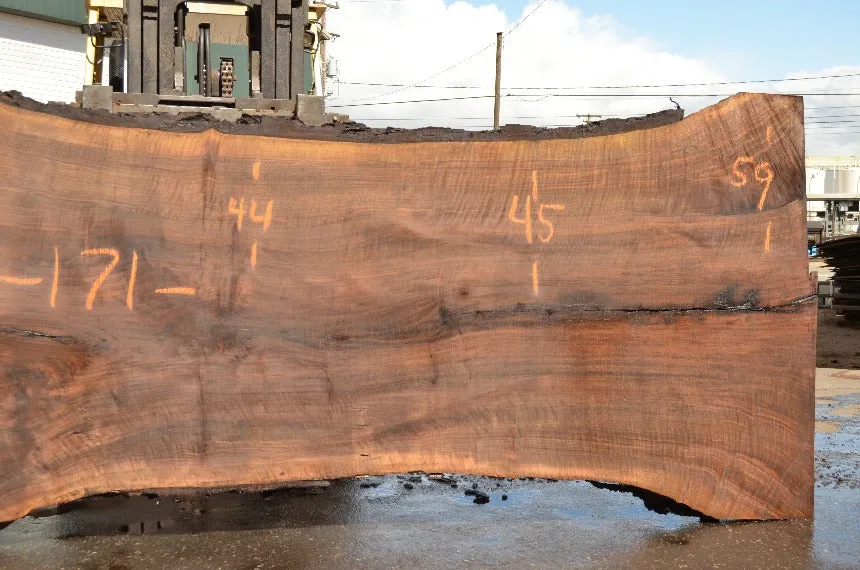 Oregon Black Walnut Slab 040822-02