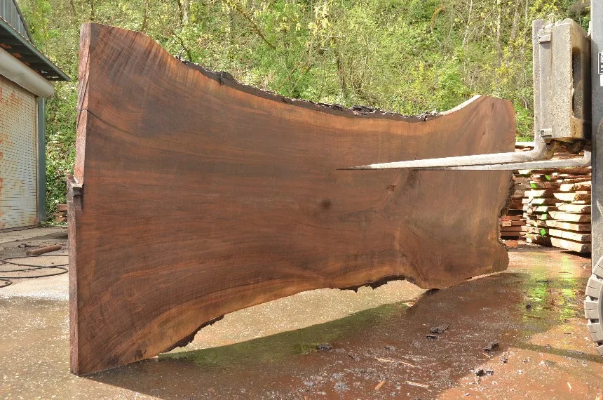 Oregon Black Walnut Slab 040822-02