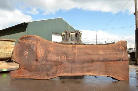 Oregon Black Walnut Slab 040822-02