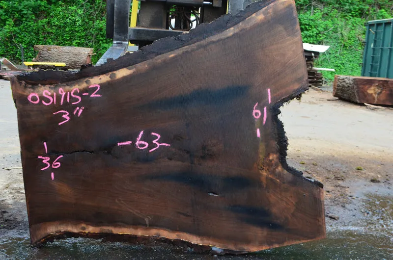 Oregon Black Walnut Slab 051915-02