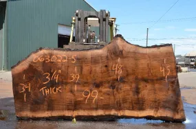 Oregon Black Walnut Slab 063022-05